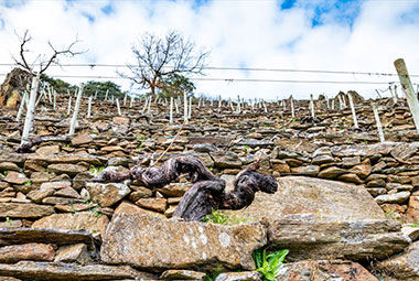 Envínate (Teneriffa)