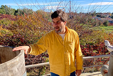 Niepoort Vinhos (Bairrada)