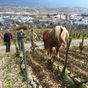 Château de Merande-Domaine Genoux