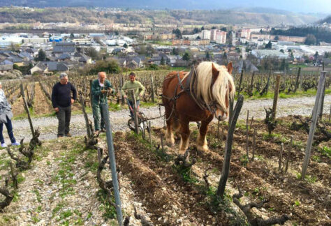 Château de Merande-Domaine Genoux