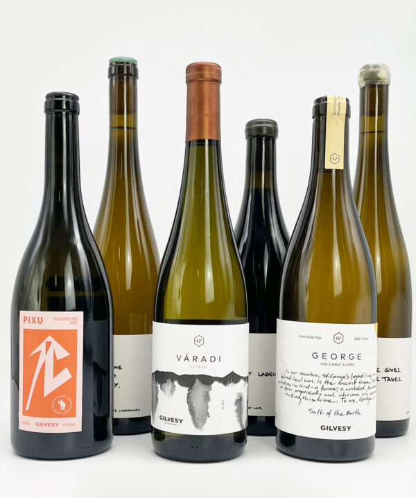 6er Podcastpaket Doppelpack GilvesyHaag